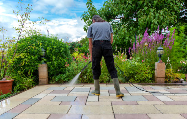 Professional Pressure Washing Services in University, FL